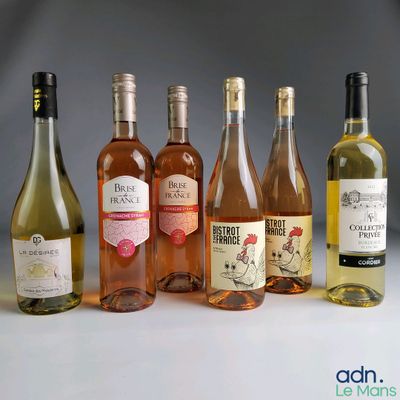 plusieurs bouteilles de vin sont alignées sur une table