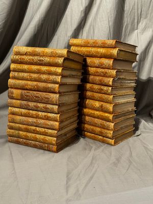 GROS LOT DE 24 LIVRES DR CABANES, ouvrage historiques d'envi…