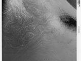 une image représentant une photo en noir et blanc du visage d'un homme