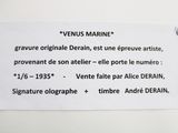 Photo 4/4 du lot