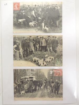 plusieurs vieilles photos représentant des personnes et des chiens dans un environnement boisé