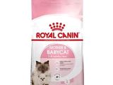 royal canin mother and babycat dry cat food