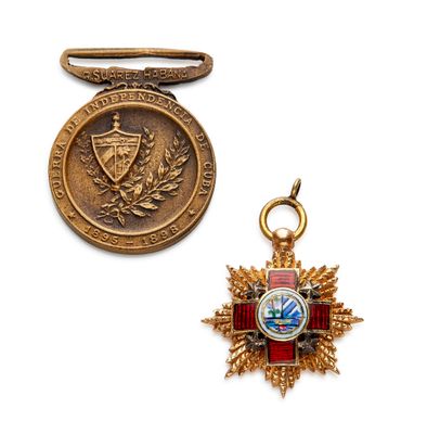 une image représentant une médaille et une épingle à médaille sur fond blanc