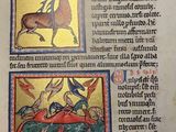 an old book with a picture of a horse and a man on it