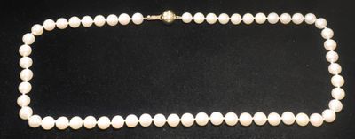 un collier de perles blanches sur fond noir