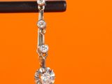 a close up of a pair of earrings on a stick