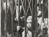 une photo en noir et blanc d'un jeune garçon derrière une clôture