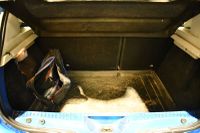 VP DACIA SANDERO STEPWAY 1.0 ECO-G GPL 100ch BASE - Dmec : 2… (photo 6)