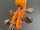a close up of a violin with a wooden neck and strings