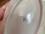a person holding a white plate with a pink rim