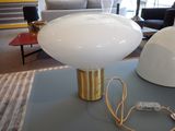 deux lampes posées sur une table dans un salon