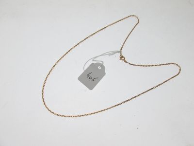 gros plan d'un collier auquel est attachée une étiquette