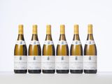 six bottles of white wine lined up in a row