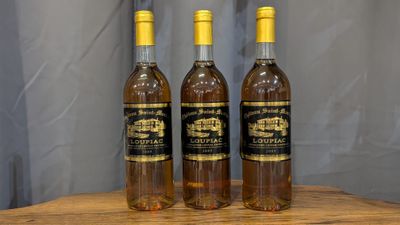 3 bouteilles CHÂTEAU SAINT MARTIN 2009 LOUPIAC.