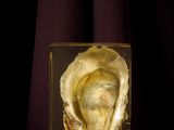 a close up of an oyster in a glass block on a table