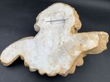 an image of a stone figurine of a bird on a black background