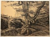 dessin représentant un arbre dans un paysage rocheux, avec des rochers au premier plan