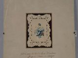 un vieux livre sur lequel figure l'image d'une fleur bleue