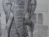 a drawing of an elephant that is standing in the water