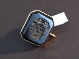 an image of a ring with a coat of arms on it