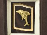 gold fish in a shadow box with a black background