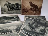 several old black and white pictures of animals in a field