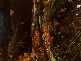 a painting of a tree stump in the woods