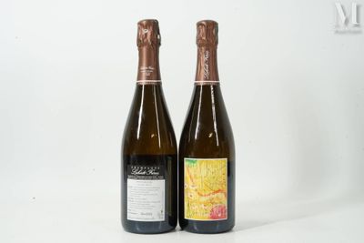 deux bouteilles de vin posées l'une à côté de l'autre sur une surface blanche