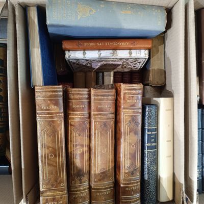 Manette de livres