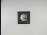 a picture of a coin on a wall in a room