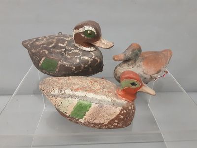 trois canards posés sur une étagère transparente