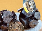 a pair of cufflinks that are on top of a tree stump