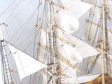 a model of a sailboat on display on a table