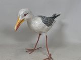 un oiseau qui se tient au sol, le bec ouvert