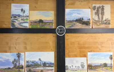 de nombreuses photos de palmiers sur le mur de cette pièce