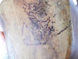 a person holding a large vase with a drawing on it