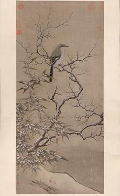 une photo d'un oiseau perché sur une branche d'arbre