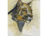 an image of a drawing of a cat on a piece of paper