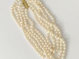 a close up of a strand of white pearls with a gold clasp