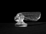 black and white photograph of a glass object on a black surface