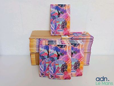 Lot à retirer à Décines-Charpieu (69150) du lundi au vendred…