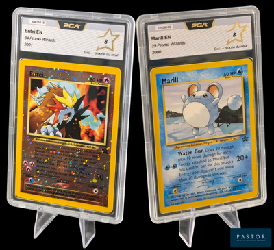 Deux cartes Pokémon sont présentées dans des pochettes en plastique sur un fond noir.