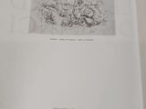 an open book with a drawing of a dragon on it