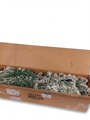 une boîte en carton contenant plusieurs plantes vertes et blanches