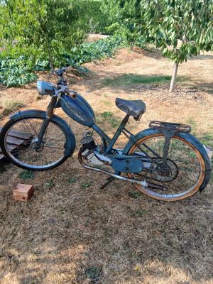 un vieux vélo abandonné dans l'herbe