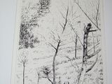 a black and white drawing of a tree in the woods