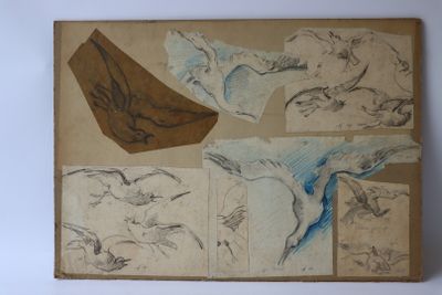 une photo d'un dessin représentant un oiseau sur une feuille de papier
