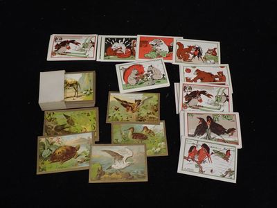 beaucoup de cartes représentant des animaux, posées sur une table