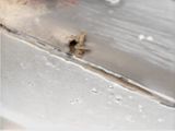 a bird that is sitting on the edge of a sink