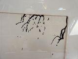 a picture of a black and white painting on a white wall